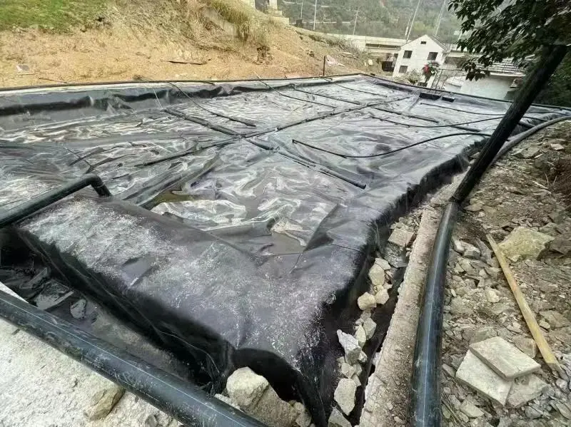 Revolutionize Your Pond with Haoyang Geomembrane Pond Liners D